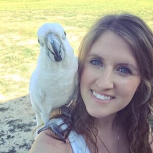 Cockatoos in Wisconsin