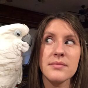 Cockatoos in South Dakota