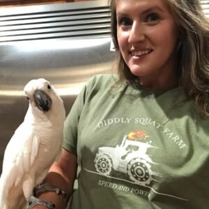 Cockatoo Parrots in Ohio