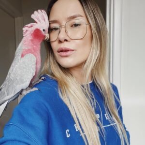 Cockatoo Parrots in Oregon